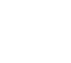 Info Icon